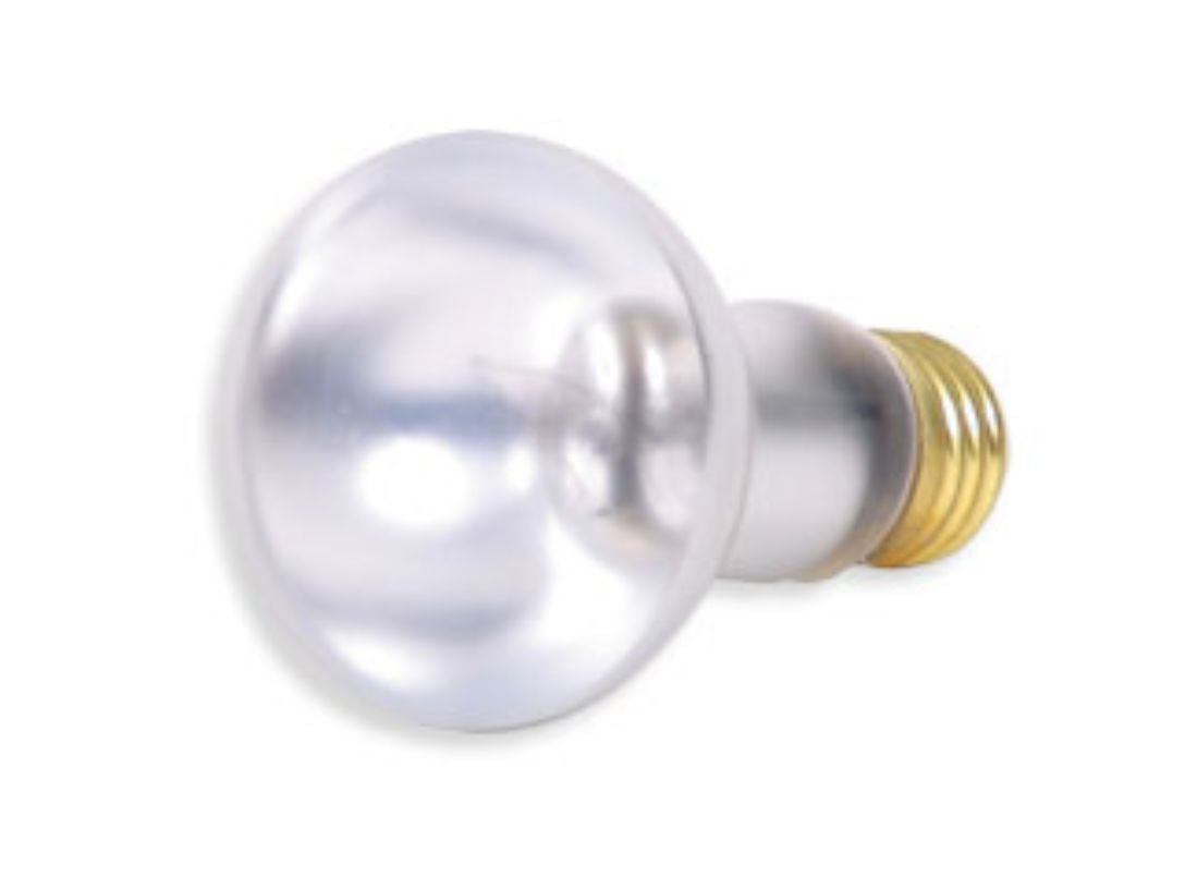 FC915 Incandescent Bulb (45R20) Furnlite
